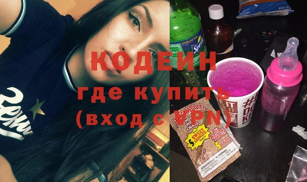 индика Фёдоровский