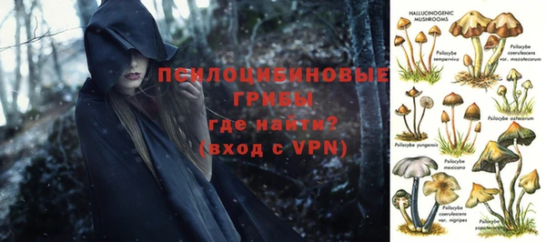 СК Михайлов