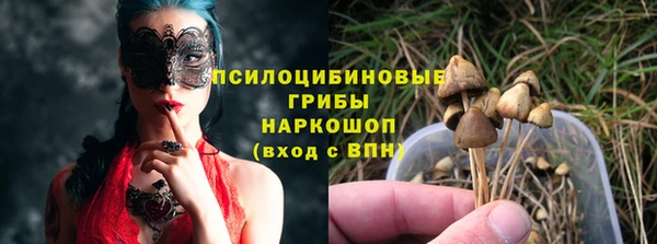 СК Михайлов