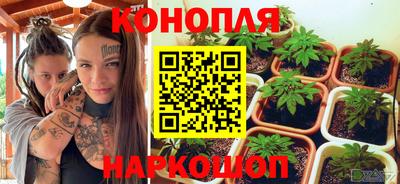 spice Заводоуковск