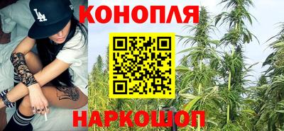 spice Заводоуковск